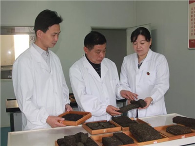 傳承茯茶非遺技藝、開(kāi)拓創(chuàng  )新引領(lǐng)行業(yè)發(fā)展