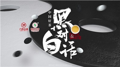 首屆黑白對話(huà)高峰論壇圓滿(mǎn)落幕！湘益茯茶備受關(guān)注！