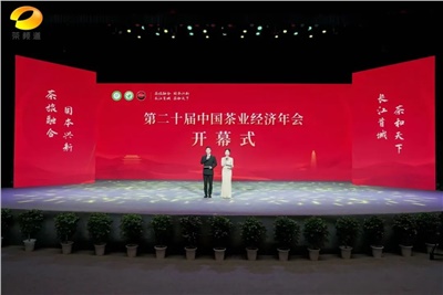 【聚焦第二十屆中國茶業(yè)經(jīng)濟年會(huì )】益陽(yáng)茶廠(chǎng)榮獲“民族團結互助企業(yè)”、“2024年度茶業(yè)重點(diǎn)企業(yè)”榮譽(yù)稱(chēng)號
